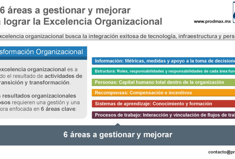 Las 6 áreas a gestionar y mejorar  para lograr la Excelencia Organizacional